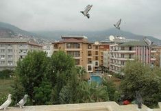 기타 3 Azalea Apart Hotel