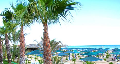 อื่นๆ 2 Paloma Oceana Resort