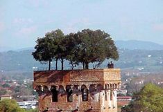 อื่นๆ 3 Da Elisa alle Sette Arti