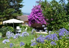 其他 2 Casa Dos Assentos