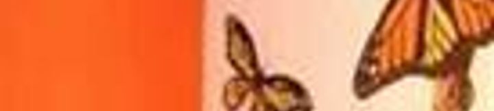 Others 2 Pousada Kaza De Praia Rbh