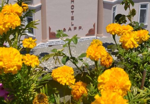 其他 Primera Hotel