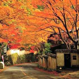 Kawasegien Isuzu Hotel 1, Hotel Yugawara Town Tourist Information Center in front of the station