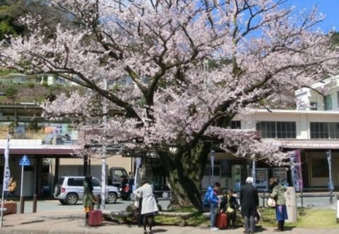 Lainnya Kawasegien Isuzu Hotel