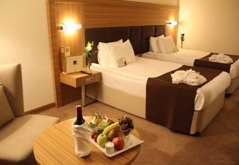 Others Surmeli Ankara