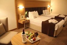 Others Surmeli Ankara