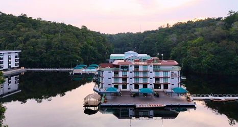 其他 2 Amazon Jungle Palace