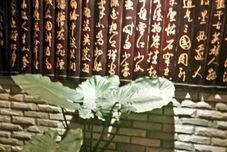 其他 Baolong Homelike Youyi