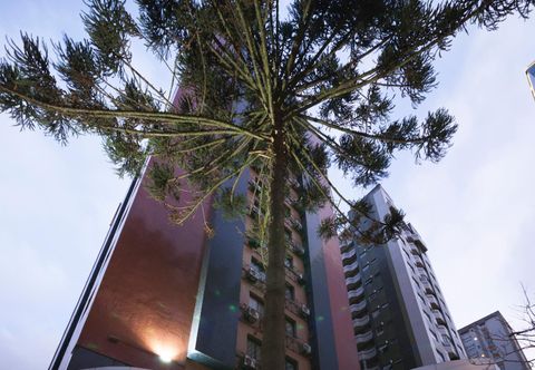 Lainnya Slaviero Curitiba Shopping