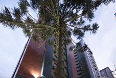 Lainnya Slaviero Curitiba Shopping