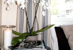 其他 2 Gruner Apartment Hotel