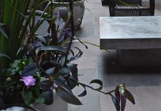 Others 4 Seton Hotel