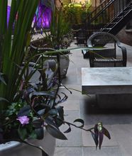 Others 4 Seton Hotel