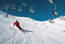 Others Pension Laura