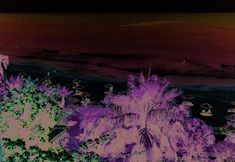 Others 4 Defne Dream