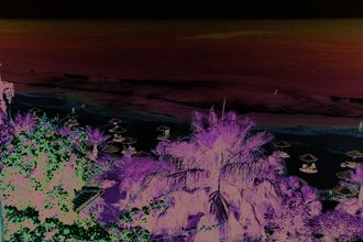 Others 4 Defne Dream