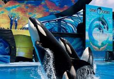 其他 5 Greentree Inn San Diego Mission Bay