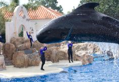 其他 6 Greentree Inn San Diego Mission Bay