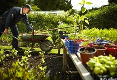 อื่นๆ 4 Manor House Hotel And Golf Club