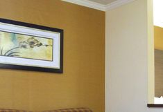 其他 7 Best Western Plus Galleria Inn & Suites