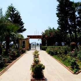 Royal Ideal Beach Hotel 1, Hotel HOME DOM TURKEY