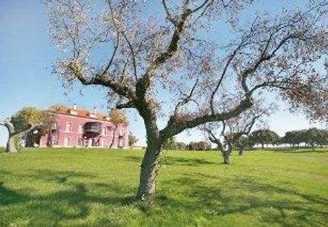 Others Posada Real Palacio Carrascalino