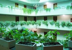 其他 6 Harbor Self Inn Medianeira