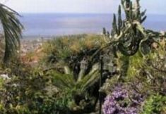 Others 5 Quinta Da Fonte