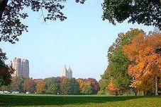 Others Park Savoy Hotel