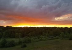 Others 4 Finger Lakes Hotel