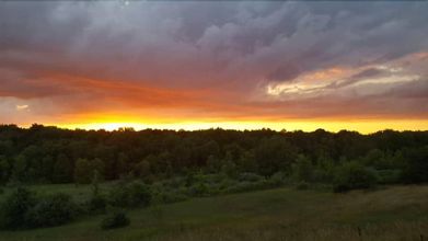 Others 4 Finger Lakes Hotel