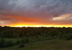 Others 4 Finger Lakes Hotel