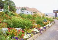 Others 5 Best Western Lakeside Lodge & Suites