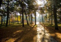 その他 3 Hotel Senator