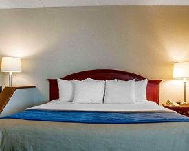 Khác 4 Comfort Inn West Rochester