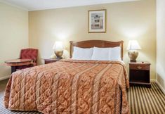 其他 5 Kingston Motel