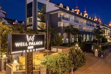 其他 Well Palace Side