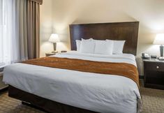 Lainnya 5 Comfort Suites Vestal Near University