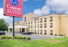Lainnya 2 Comfort Suites Vestal Near University