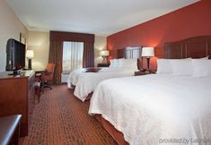その他 6 Hampton Inn and Suites Denver/South-RidgeGate