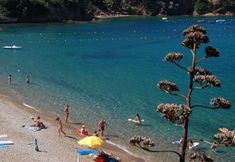 Others 5 Hotel Stella Maris