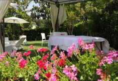 Others 5 Hotel Garden