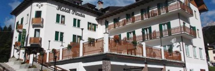 其他 Hotel Pineta