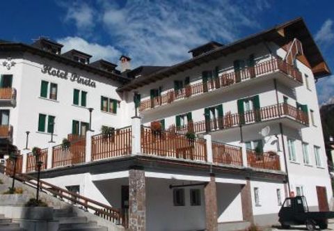 其他 Hotel Pineta