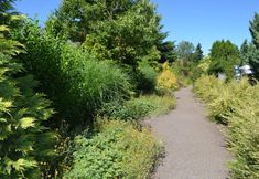 기타 3 The Village Green