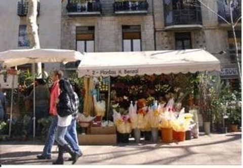 Khác Hostal Mont Thabor