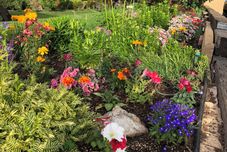 Others Glenwood Springs Cedar Lodge