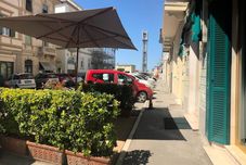 Lain-lain Stella del Mare