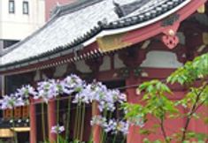 Others 3 Kaminarimon Ryokan