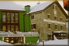 อื่นๆ Genziana